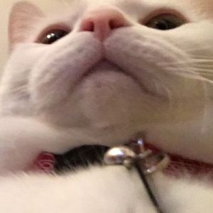 Meet your Posher, Lee